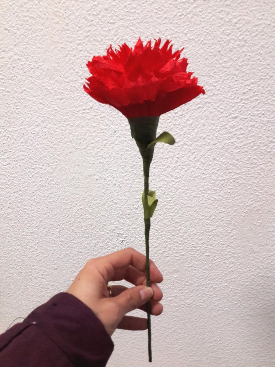 Cravo - LetrasEsferovite.pt